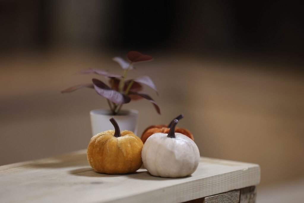 Cozy autumn setup with mini pumpkins and potted plant on wooden table indoors.